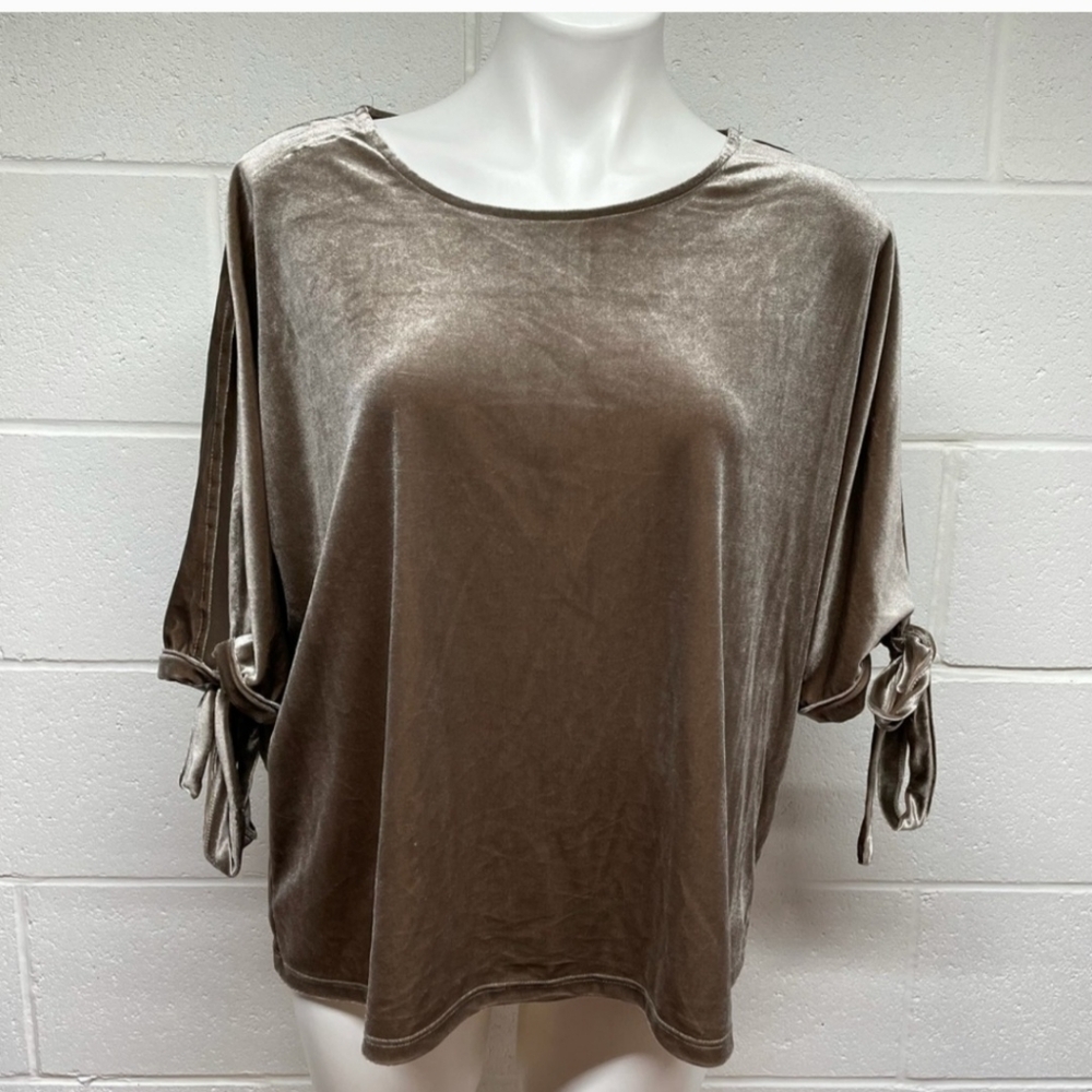 Simply Styled Tan Velvet Top